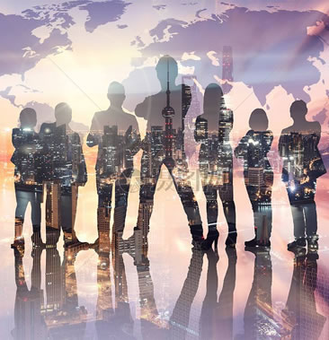 專家服務(wù)團隊